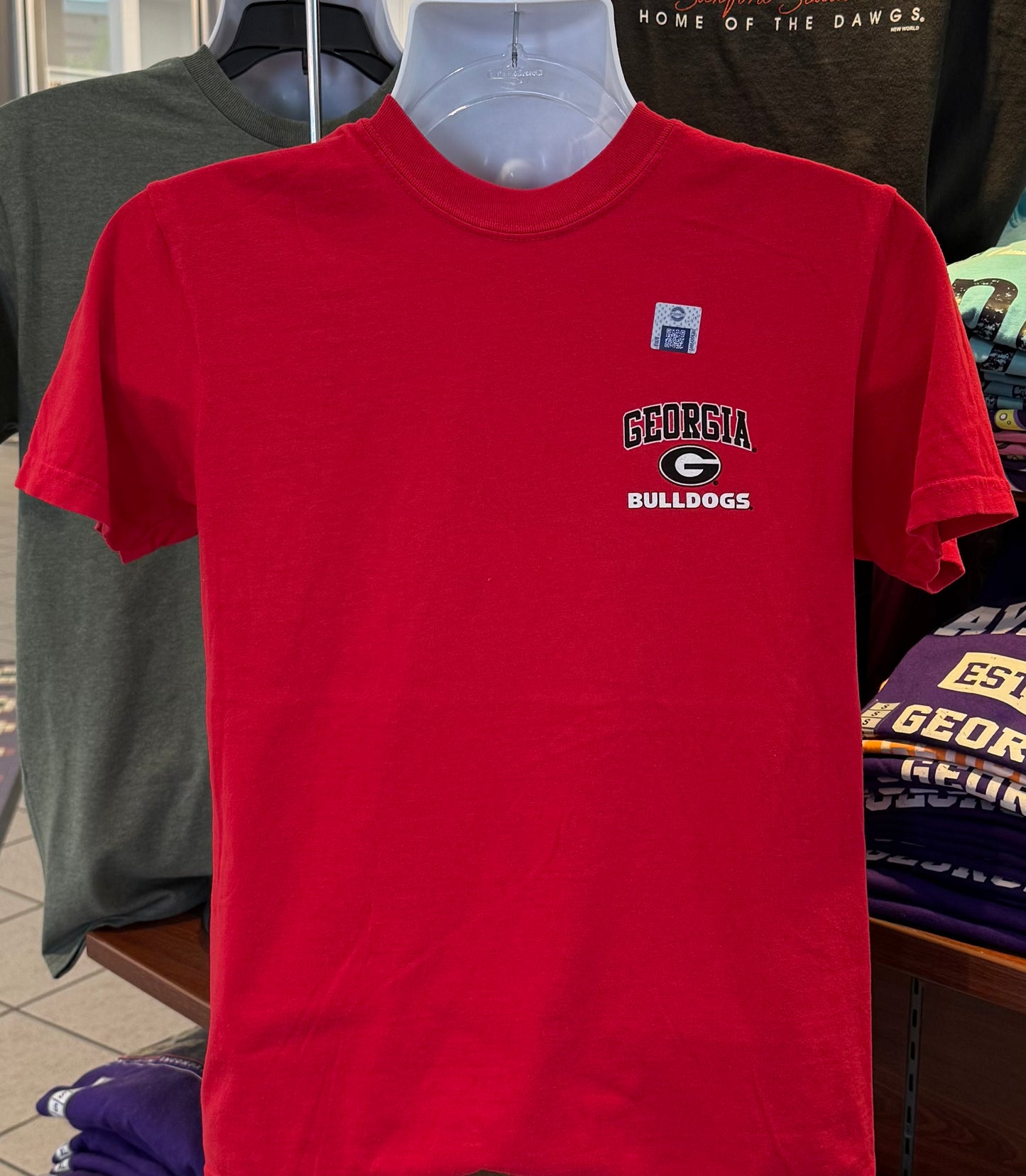 Georgia Bulldogs T-shirt - “Everything I Need and Nothing I Don’t Graphic Tee” (Comfort Colors Short Sleeve Red)